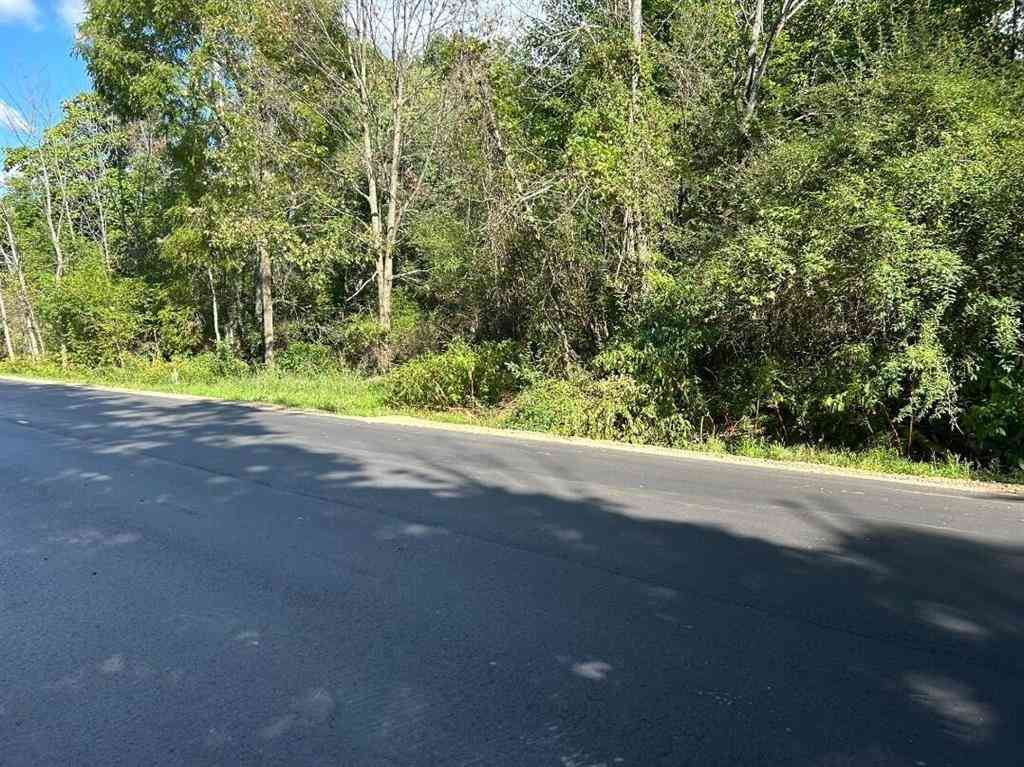 Vacant Land For Sale - POLP Centerline  <br/> Newaygo County, Newaygo, MI 49337
