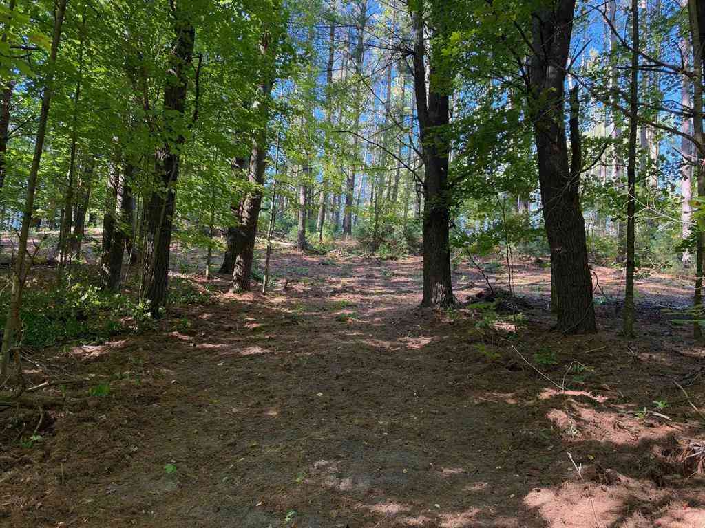 Vacant Land For Sale - Raymond Road <br/> Lake County, Tustin, MI 49688