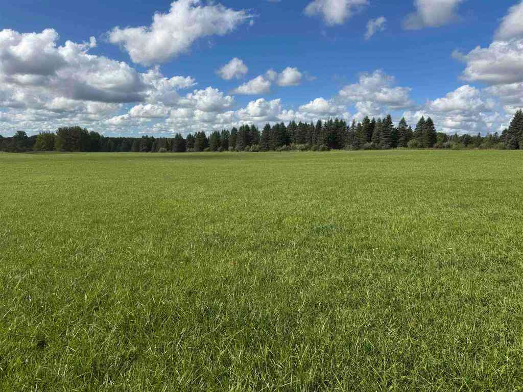 Vacant Land For Sale - Ora Lake Road <br/> Iosco County, Hale, MI 48739