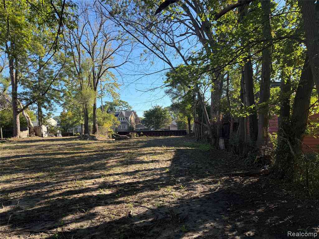 Vacant Land For Sale - 600 Ashland Street <br/> Wayne County, Detroit, MI 48215