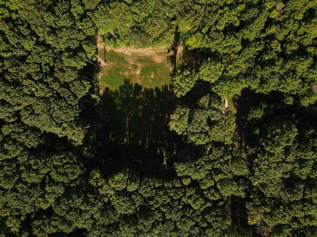 Vacant Land For Sale - 02 S Bright Road <br/> Leelanau County, Maple City, MI 49664