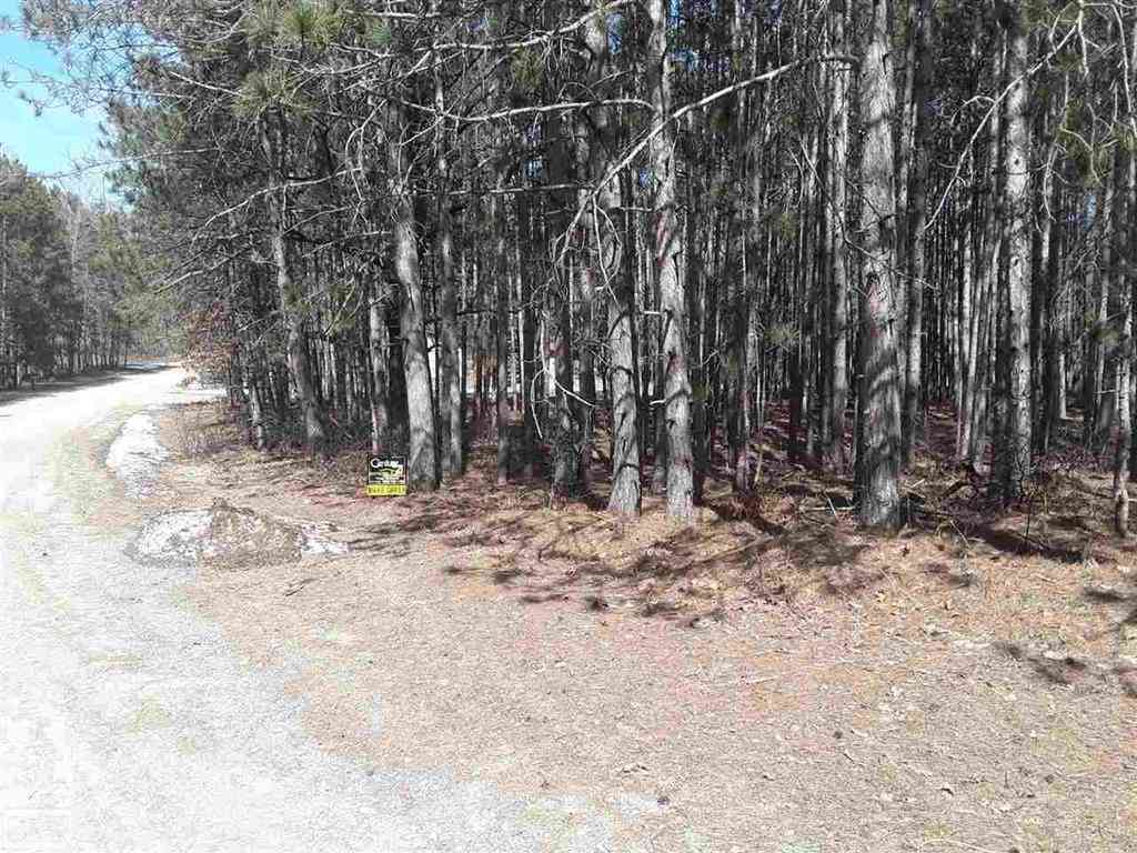 Vacant Land For Sale - 12380 Pine Mesa Drive <br/> Stanwood, MI 49346