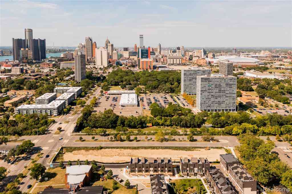 Vacant Land For Sale - 1100 St Aubin  <br/> Wayne County, Detroit, MI 48207