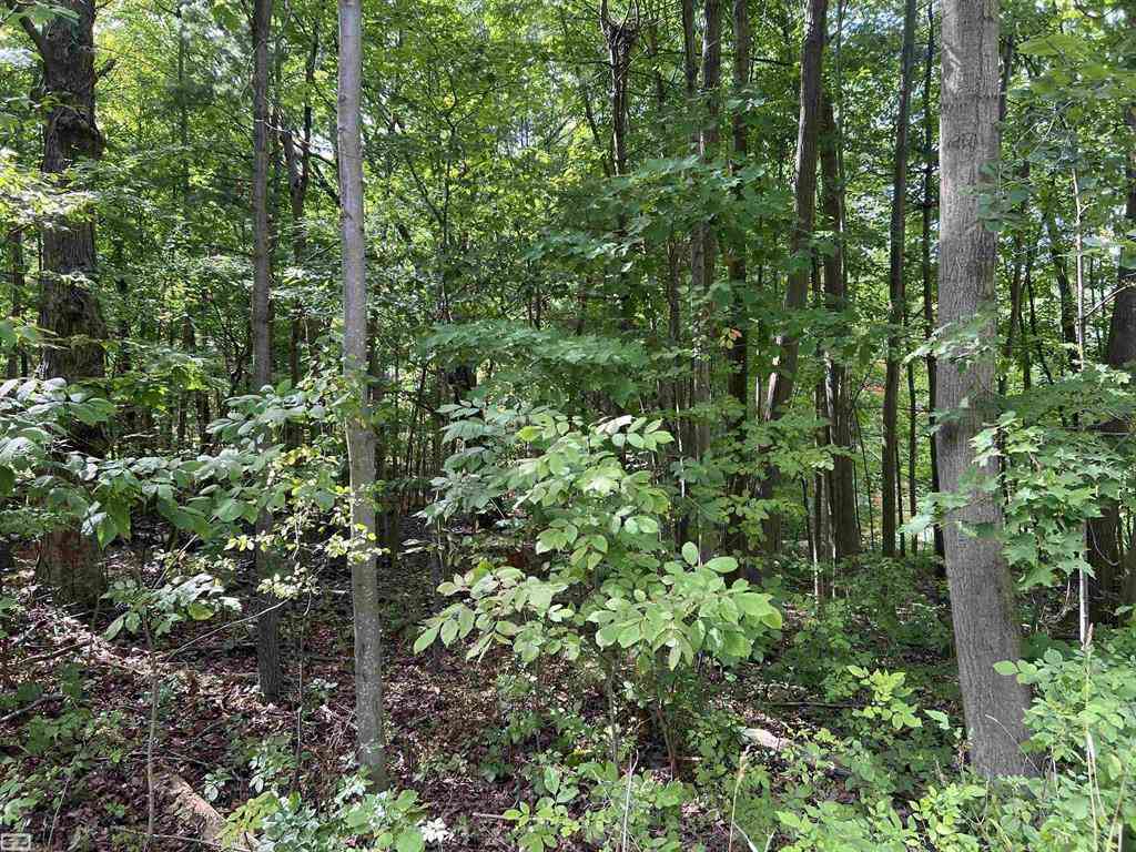 Vacant Land For Sale - Burton Road <br/> Saint Clair County, Mussey, MI 48014