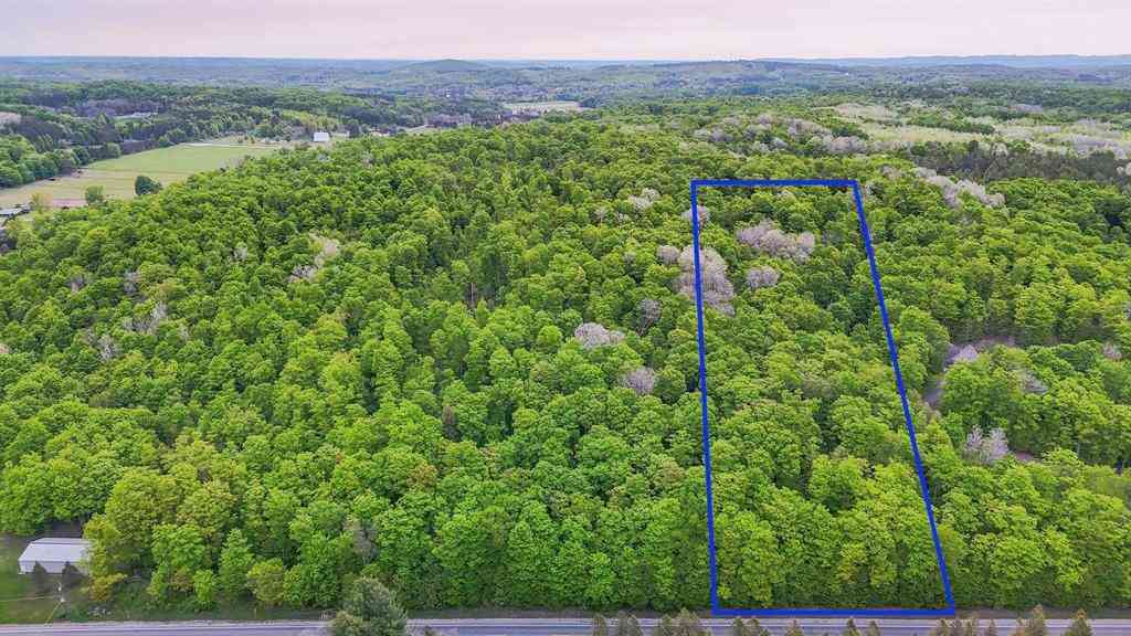 Vacant Land For Sale - V/L S Coleman Road <br/> Maple City, MI 49664