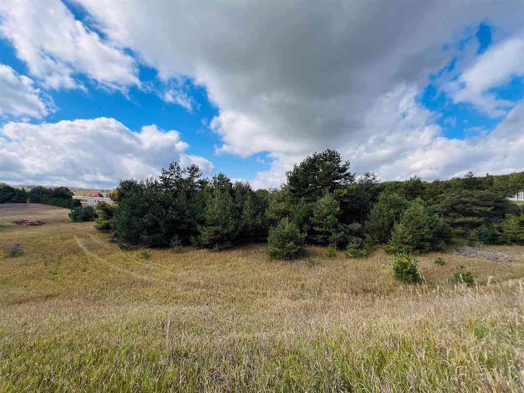 Vacant Land For Sale - S Mackinaw Trail <br/> Cadillac, MI 49601