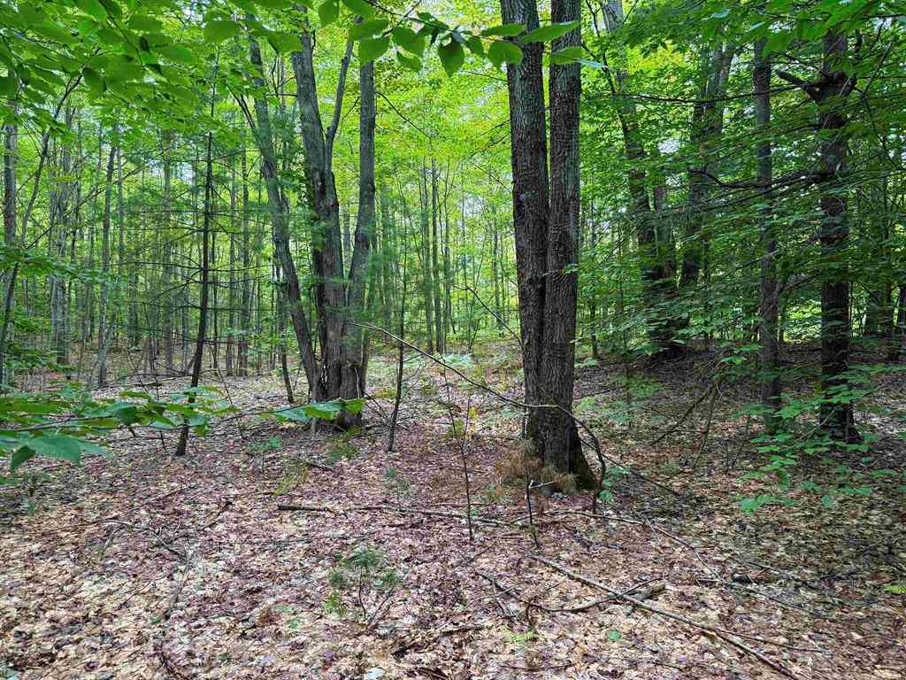 Vacant Land For Sale - 0000 W Sharon Road <br/> Fife Lake, MI 49633