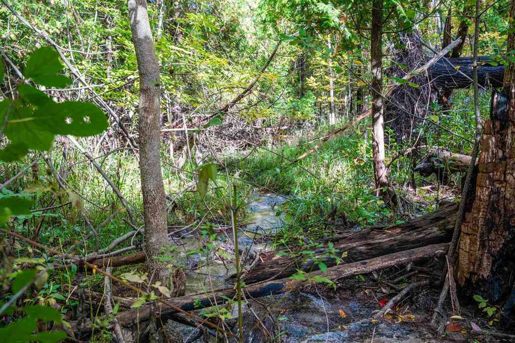 Vacant Land For Sale - V/L County Road 633  <br/> Grawn, MI 49637