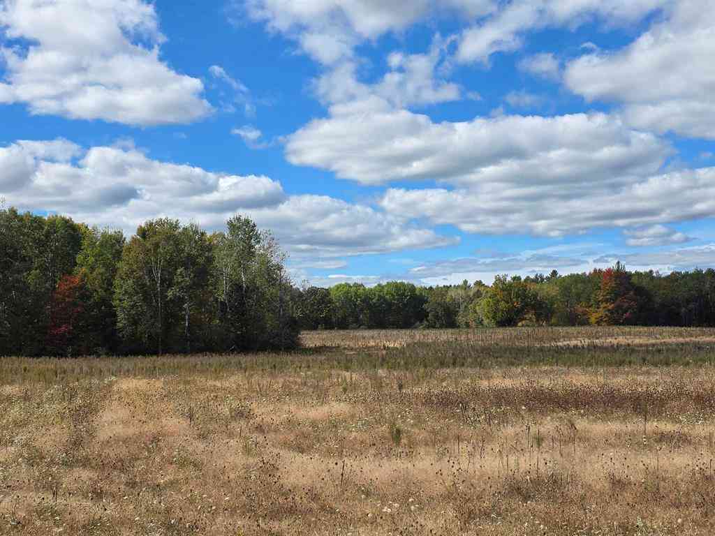 Vacant Land For Sale - 00 Towerline Road <br/> Hale, MI 48739