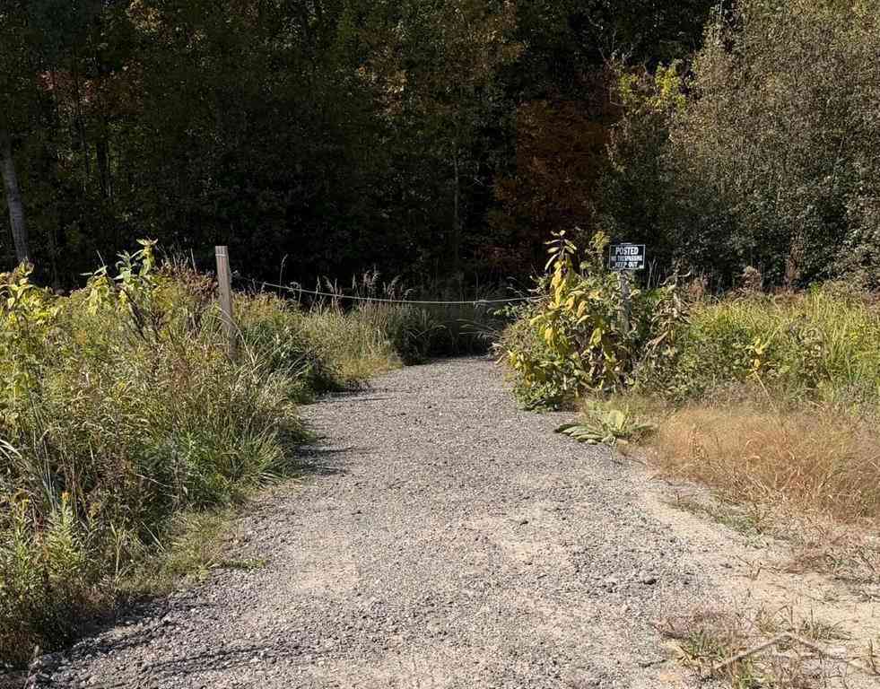 Vacant Land For Sale - VL S Magruder Road <br/> Saint Louis, MI 48880