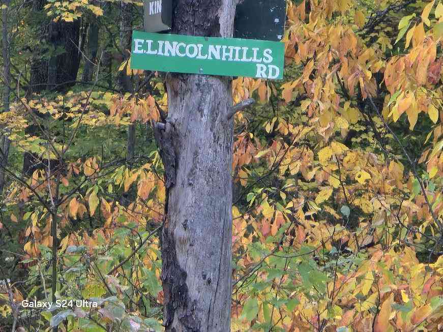 Vacant Land For Sale - 2640 E Lincoln Hills Road <br/> Luther, MI 49656