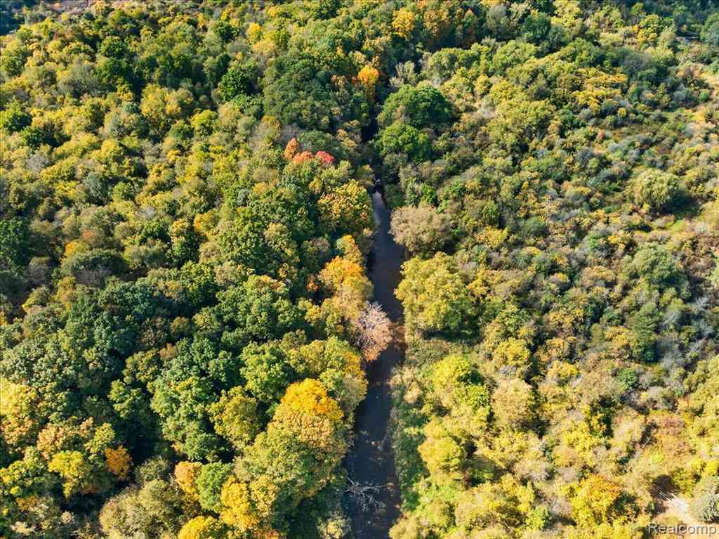 Vacant Land For Sale - 000 Old Emmett  <br/> Emmett, MI 48022