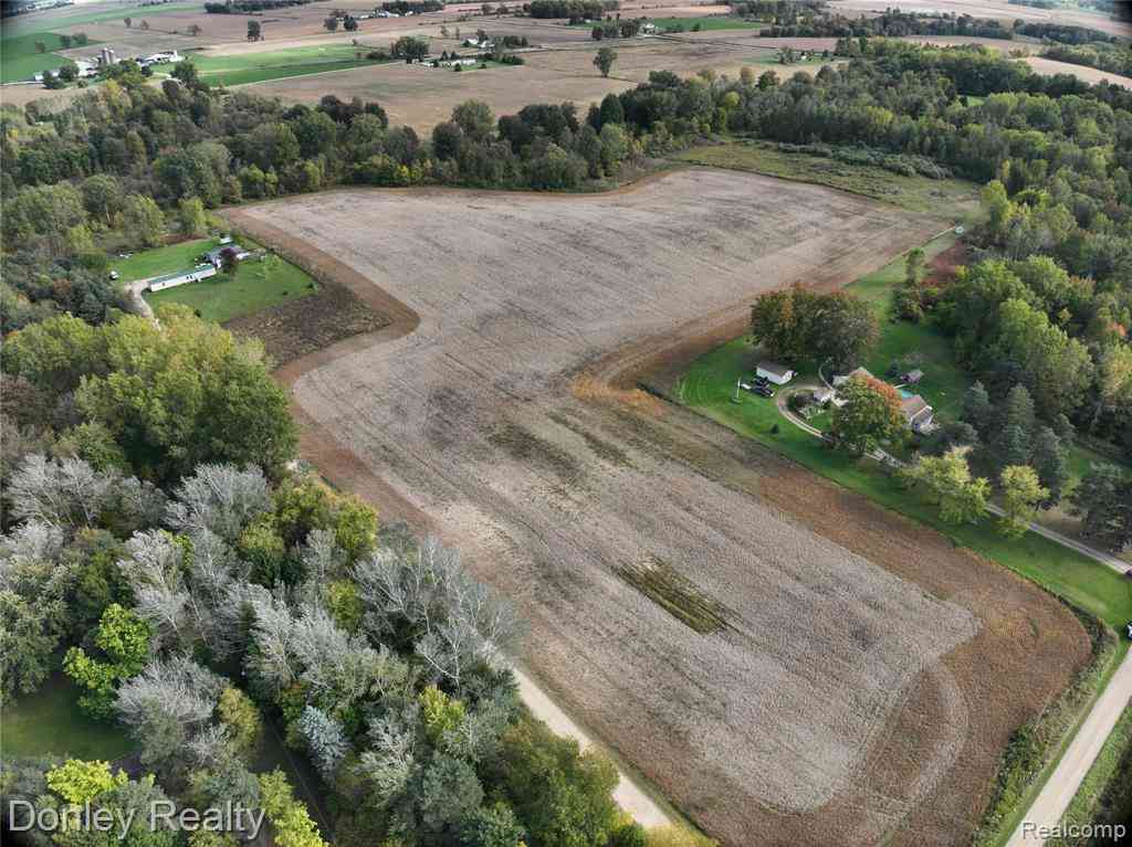 Vacant Land For Sale - 00 Mcclure Road <br/> Decker, MI 48426