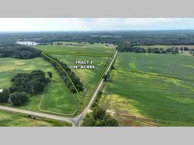 Vacant Land For Sale - Witt Lake Road <br/> Burr Oak, MI 49030
