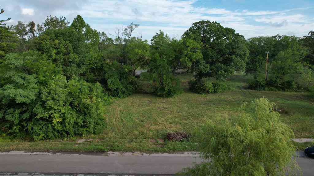 Vacant Land For Sale - 200 W Robinwood Street <br/> Detroit, MI 48203