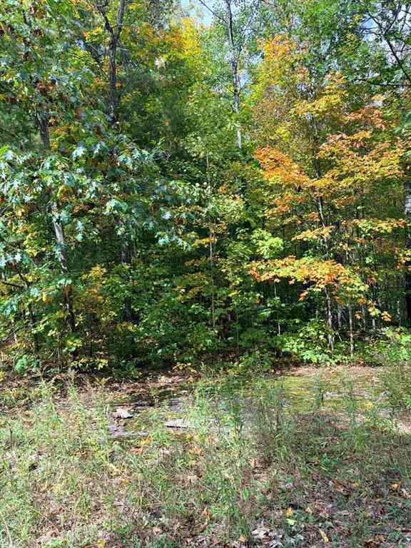 Vacant Land For Sale - VL Bruun Trail <br/> Frederic, MI 49733