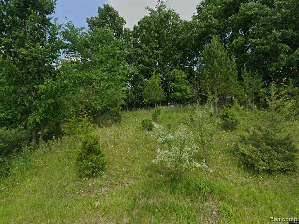 Vacant Land For Sale - 1465 Mcmillan Road <br/> Owosso, MI 48867