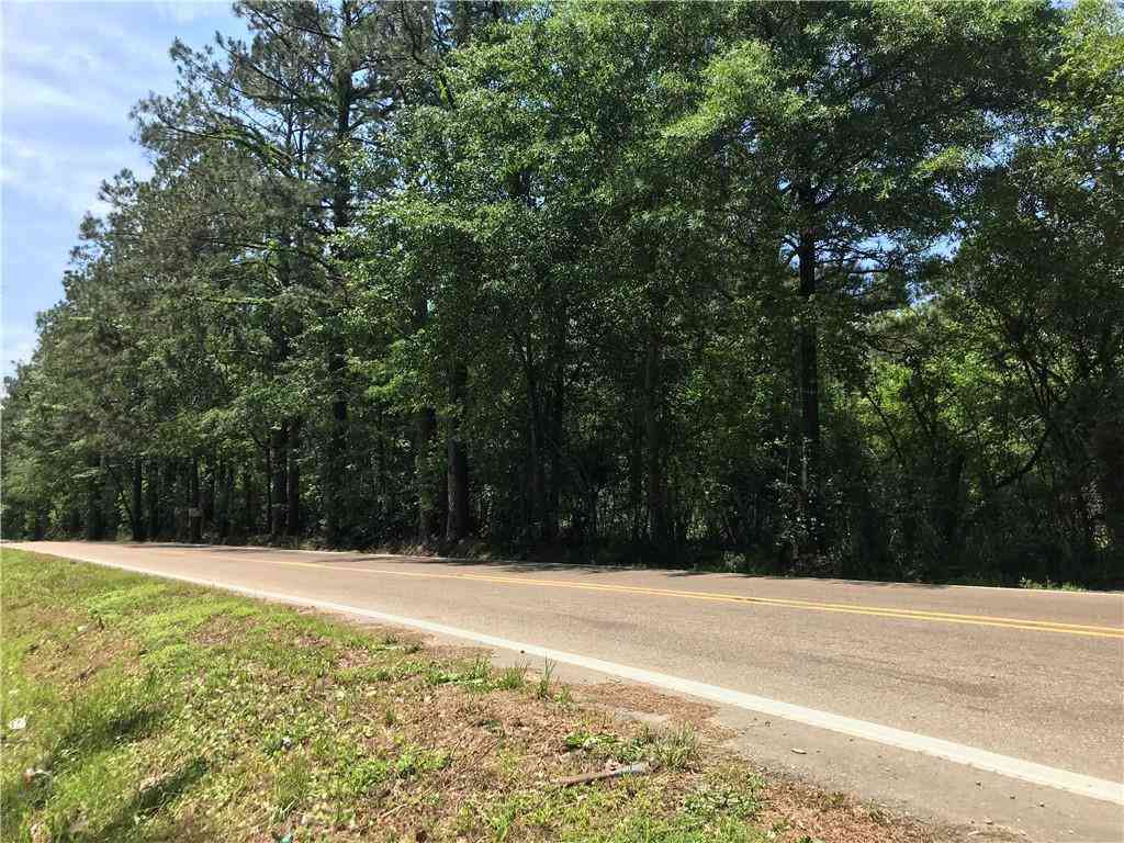 Vacant Land For Sale - 54219 Hano Road<br/> Independence, LA 70443