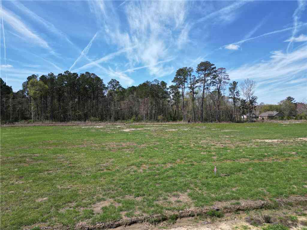 Vacant Land For Sale - 24755 Lot A-5 442 Highway<br/> Independence, LA 70443