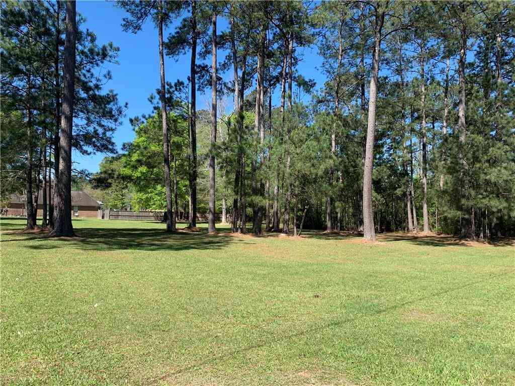 Vacant Land For Sale - Tract Ba-1 Ivy Springs Drive<br/> Independence, LA 70443