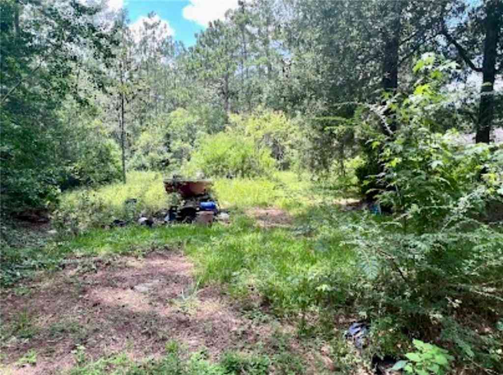 Vacant Land For Sale - Lot 12 & 13 Gamma Avenue<br/> Covington, LA 70435