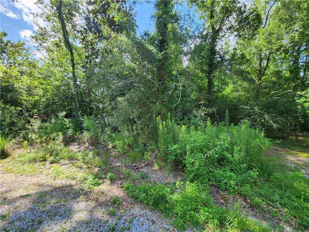 Vacant Land For Sale - Walnut Street<br/> Covington, LA 70433