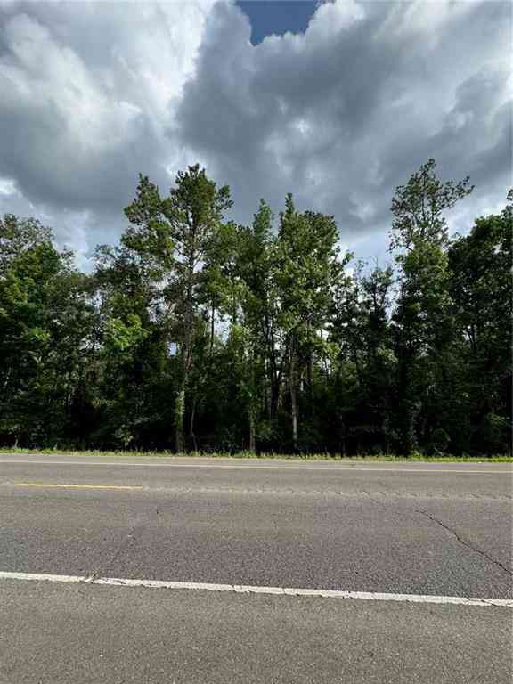 Vacant Land For Sale - BP-7 Florida Boulevard<br/> Holden, LA 70744