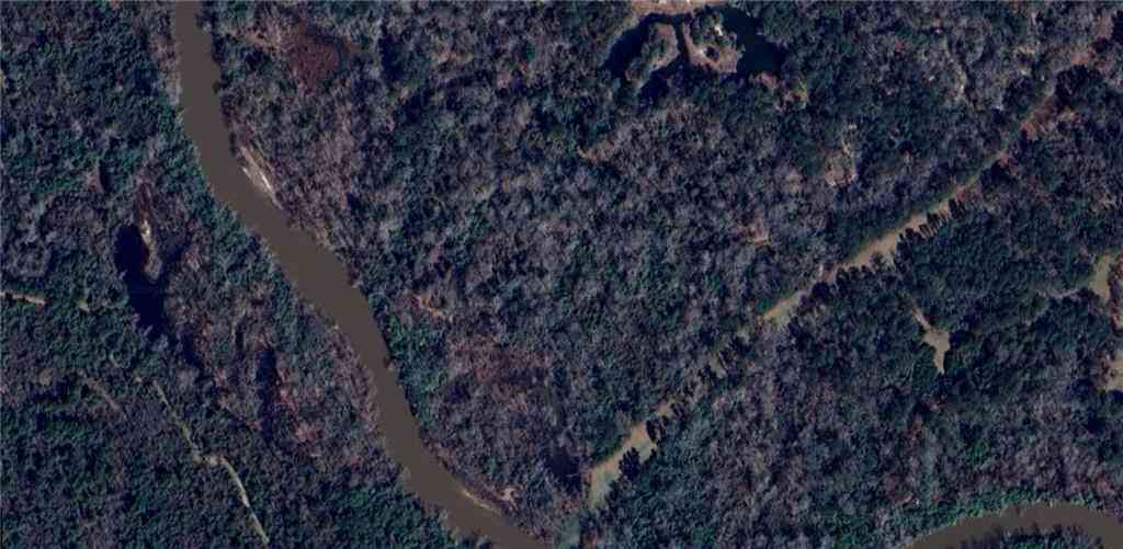 Vacant Land For Sale - 23.92 Acres, Section 40-5-7<br/> Independence, LA 70443