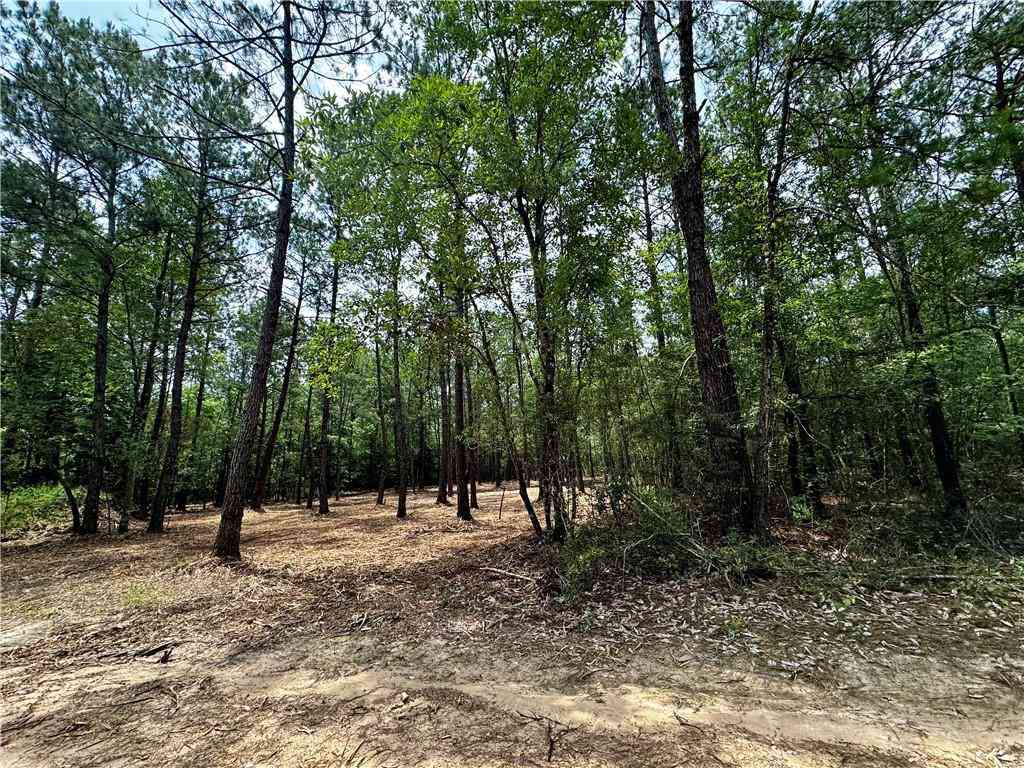 Vacant Land For Sale - LOT 2 Ranchero Road<br/> Covington, LA 70435