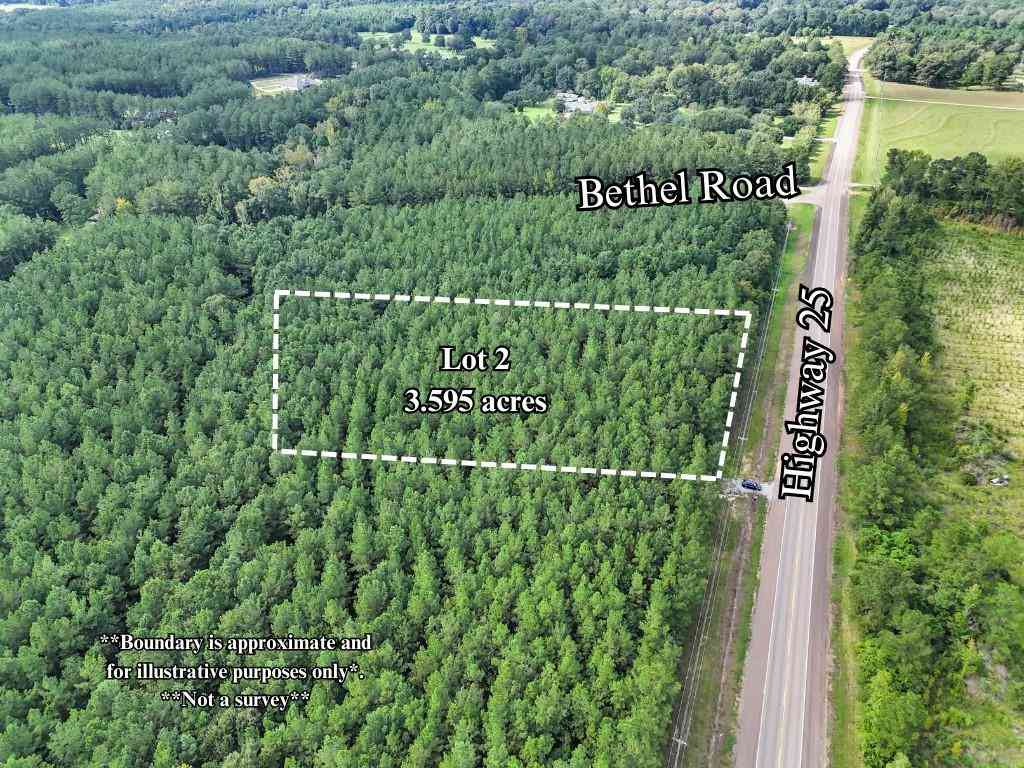 Vacant Land For Sale - LOT 2 Bethel Woods Highway<br/> Washington County, Franklinton, LA 70438