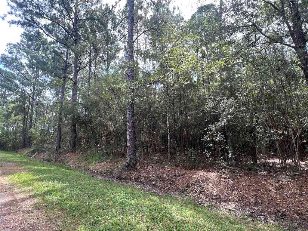 Vacant Land For Sale - Tampa Circle<br/> Pearlington, MS 39572