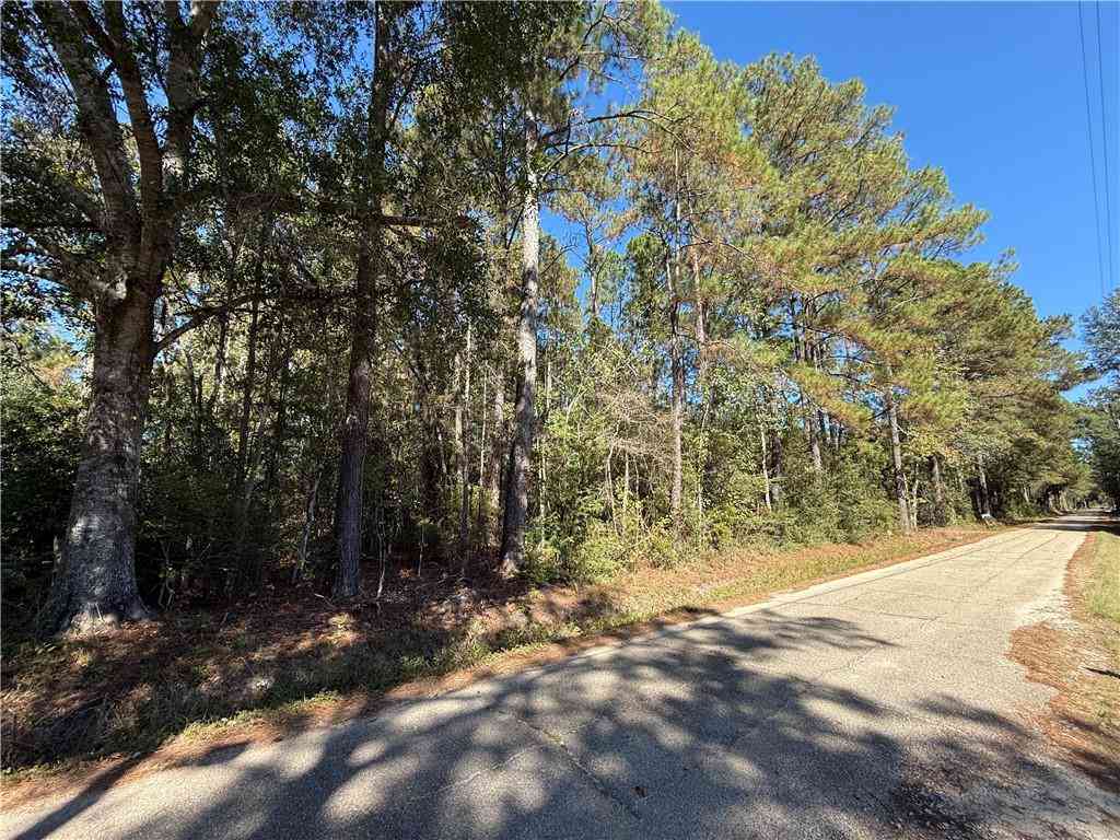 Vacant Land For Sale - Baham Road<br/> Covington, LA 70433