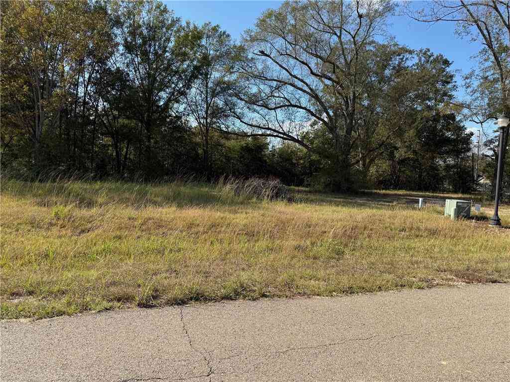 Vacant Land For Sale - 43503 Springwood Way<br/> Hammond, LA 70401