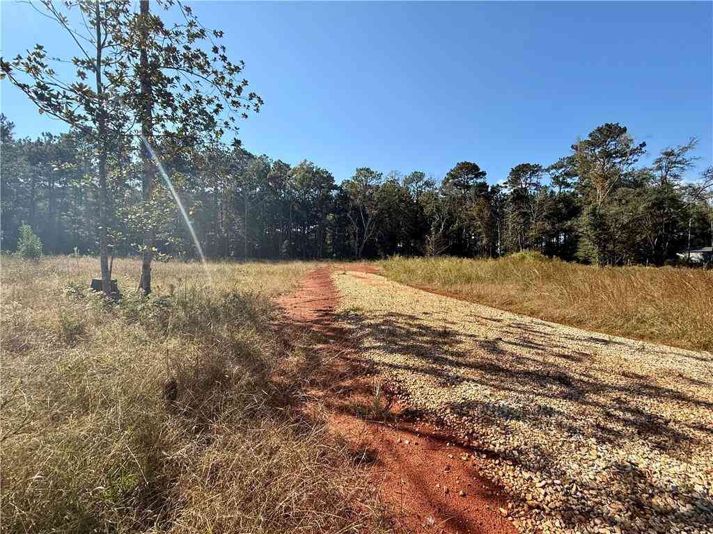 Vacant Land For Sale - 50181 Spirit Of The Forest Lane<br/> Folsom, LA 70437