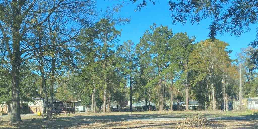 Vacant Land For Sale - 788 E Pine Street<br/> Ponchatoula, LA 70454