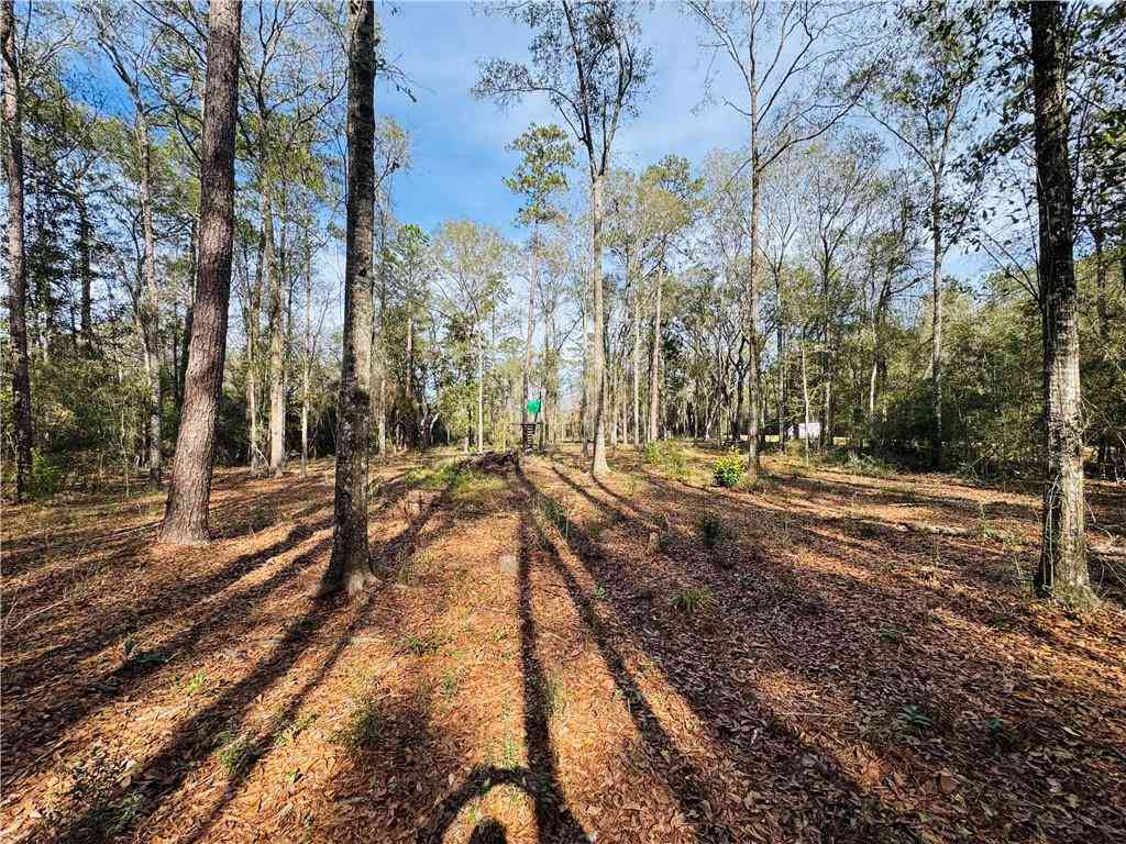 Vacant Land For Sale - 79789 N Willie Road<br/> Folsom, LA 70437