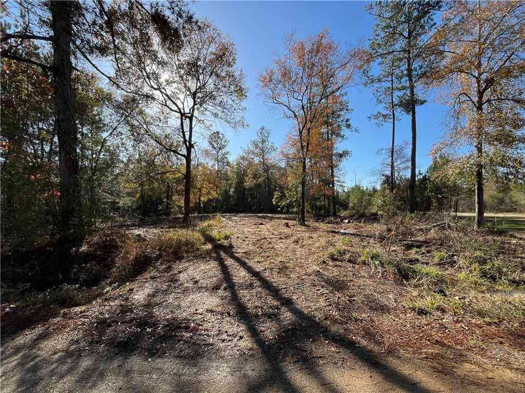 Vacant Land For Sale - 30840 Hubert Stilley Road<br/> Independence, LA 70443