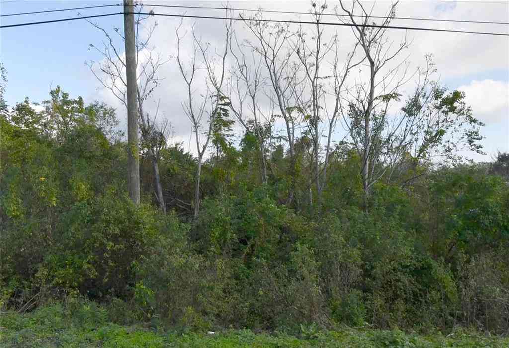 Vacant Land For Sale - 52388 Elaine Street<br/> New Orleans, LA 70126
