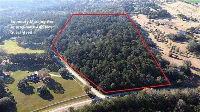 Vacant Land For Sale - 26.89 ACRES Highway 25 Highway<br/> Folsom, LA 70437