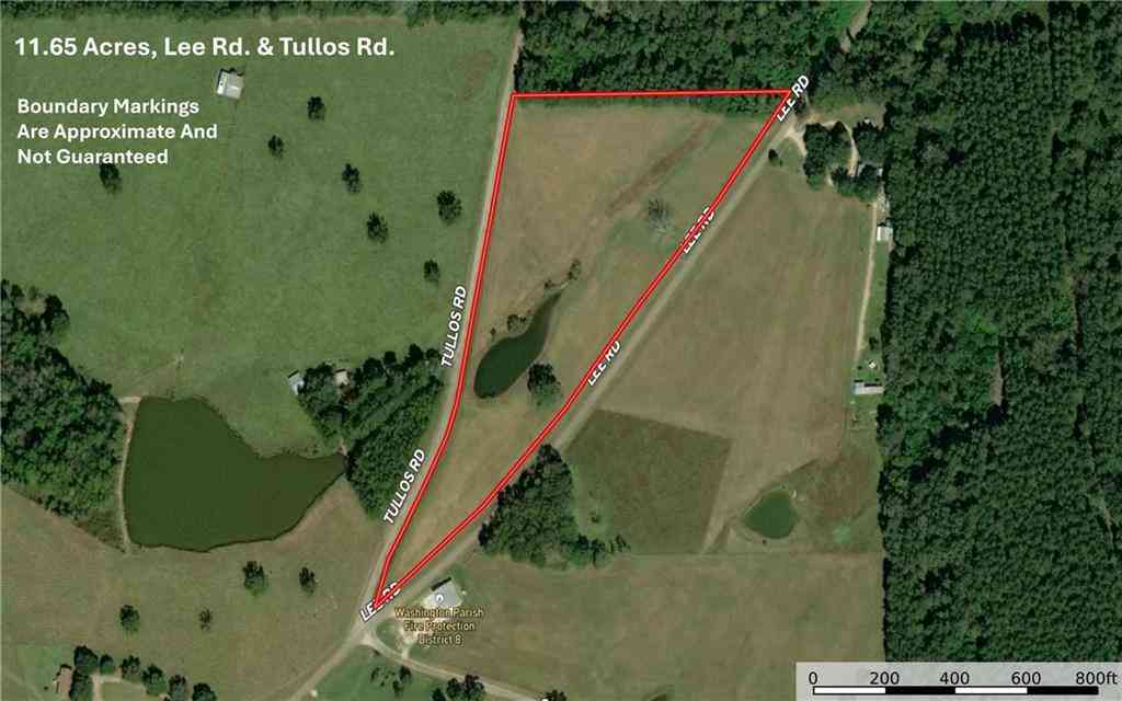 Vacant Land For Sale - 11.6 ACRES Lee Road<br/> Washington County, Franklinton, LA 70438