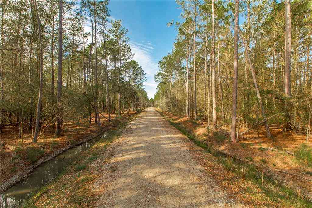 Vacant Land For Sale - 18382 Amore Way<br/> Covington, LA 70435