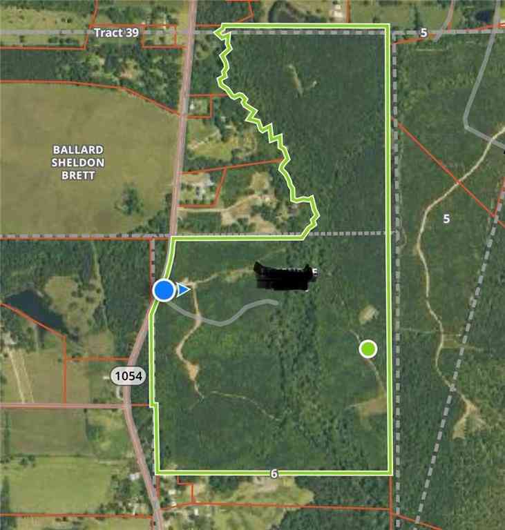 Vacant Land For Sale - 66100 La 1054 Highway<br/> Kentwood, LA 70444