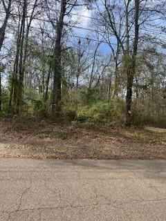 Vacant Land For Sale - 16th Avenue<br/> Washington County, Franklinton, LA 70438