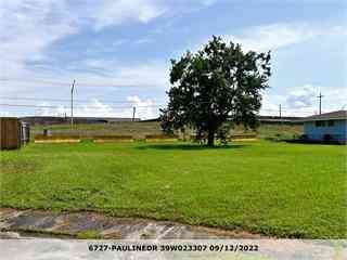 Vacant Land For Sale - 6727 Pauline Drive<br/> New Orleans, LA 70126