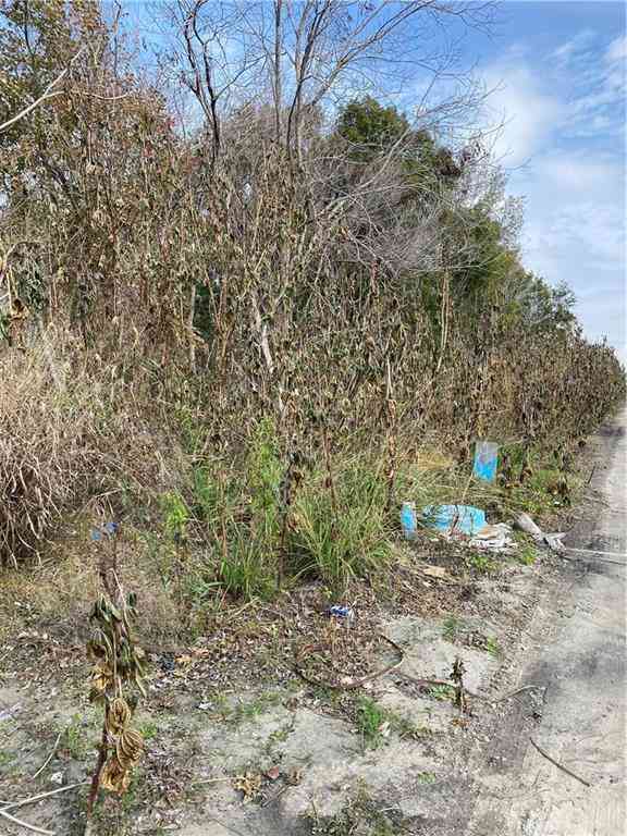 Vacant Land For Sale - 41375 Lawrence Street<br/> New Orleans, LA 70129