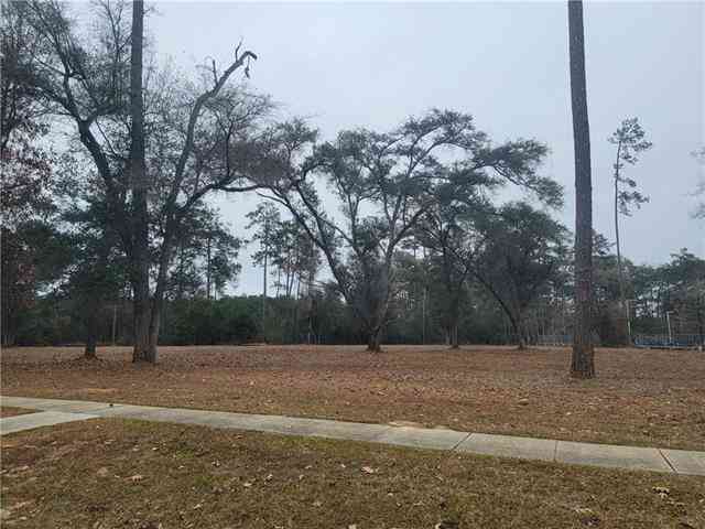 Vacant Land For Sale - LOT 17 Holiday Square Boulevard<br/> Covington, LA 70433