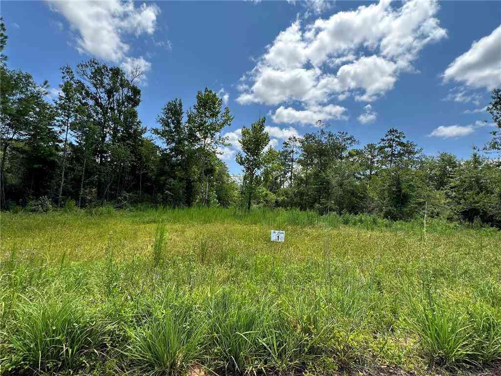 Vacant Land For Sale - LOT 1 The Banks Dr, Hwy 16 Highway<br/> Washington County, Franklinton, LA 70438