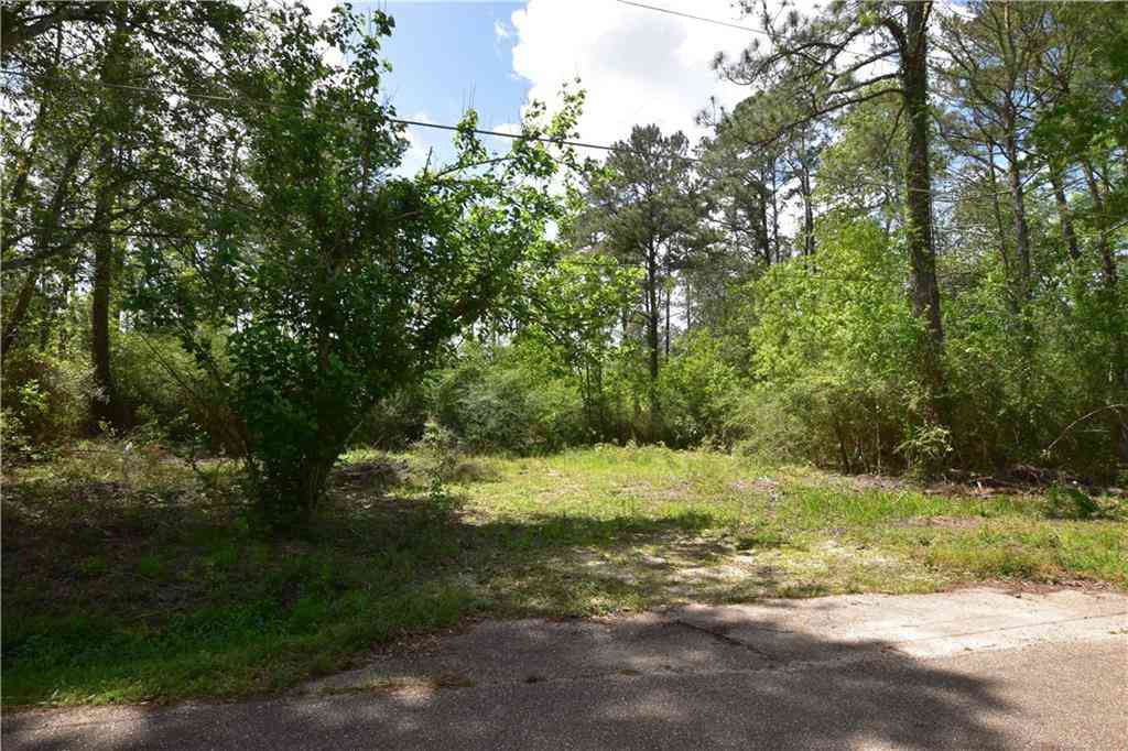 Vacant Land For Sale - 36151 Central Avenue<br/> Saint Tammany County, Pearl River, LA 70452