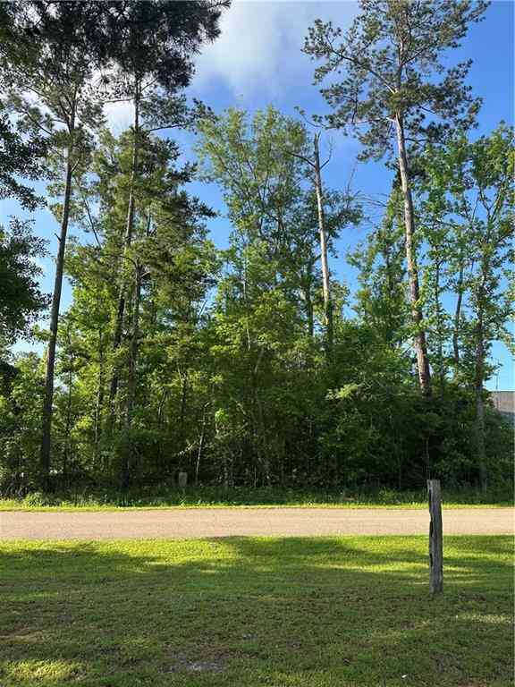 Vacant Land For Sale - LOT 15 Ponchatrain Drive<br/> Springfield, LA 70462