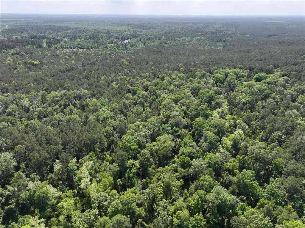 Vacant Land For Sale - Elmore Mckigney Ln Lane<br/> Springfield, LA 70462